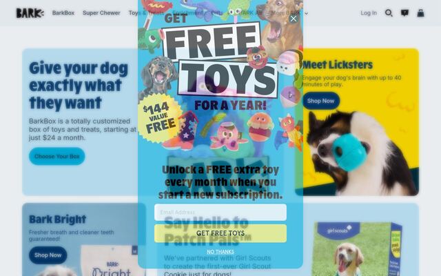 BarkBox homepage