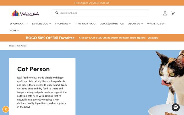 Cat Person homepage