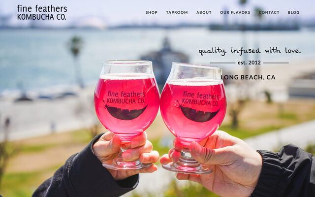 Fine Feathers Kombucha homepage
