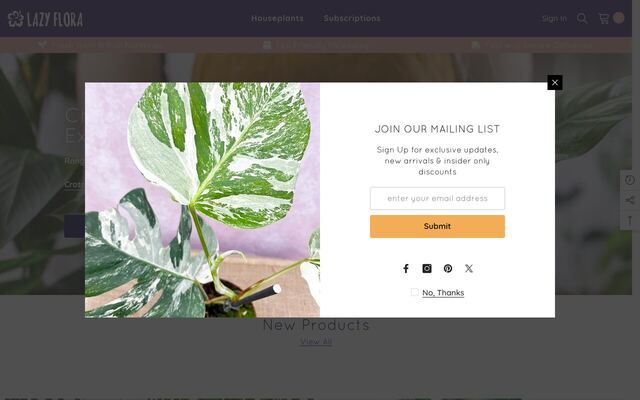 Lazy Flora homepage