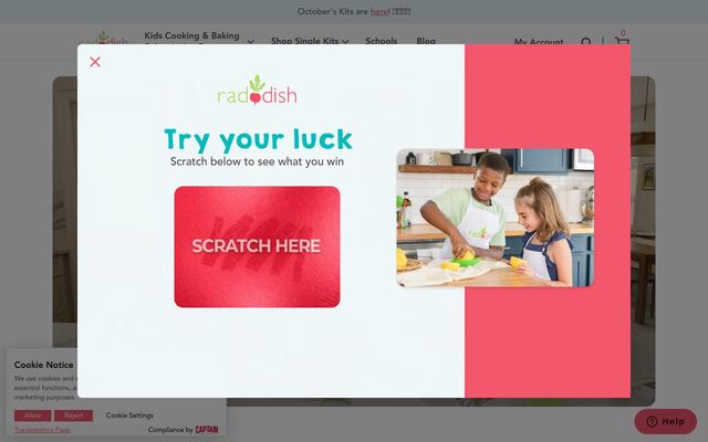 Raddish Kids homepage