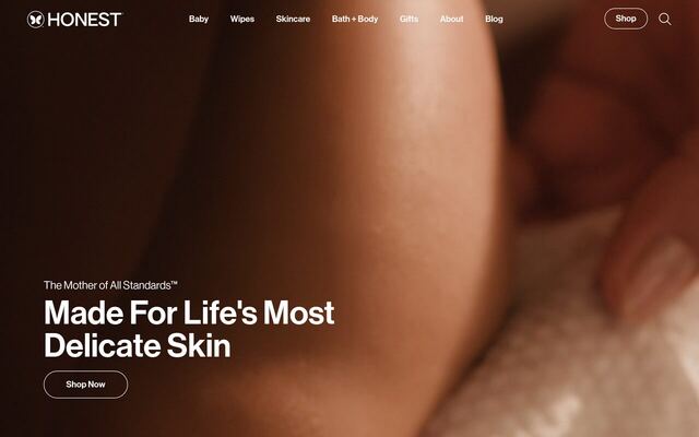 The Honest Company Diapers & Wipes Bundle homepage